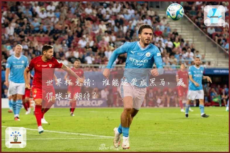 世界杯竞猜：谁能逆袭成黑马，赢得球迷期待？