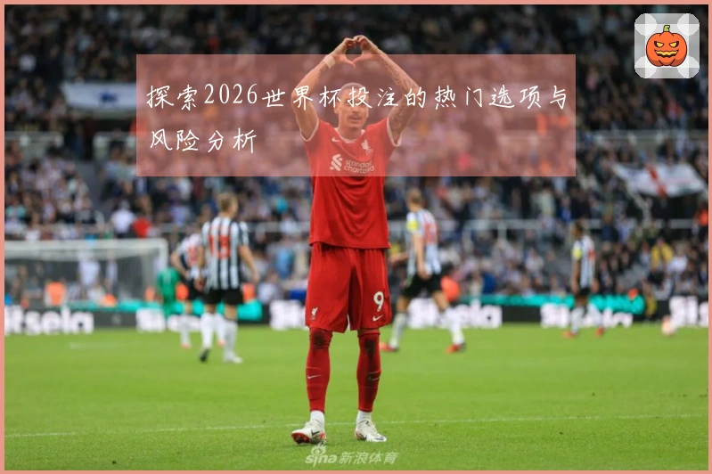 探索2026世界杯投注的热门选项与风险分析
