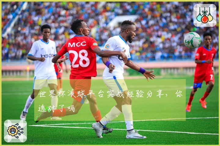 世界杯滚球平台实战经验分享，你选对了吗