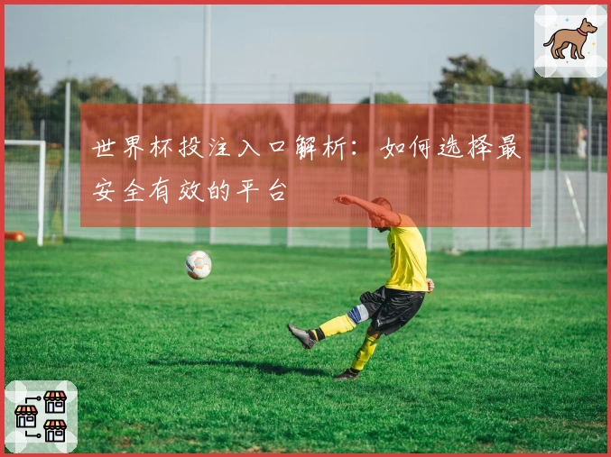 世界杯投注入口解析：如何选择最安全有效的平台