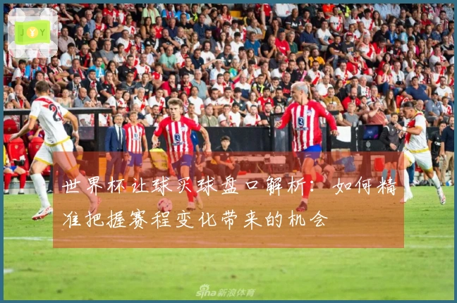 世界杯让球买球盘口解析：如何精准把握赛程变化带来的机会