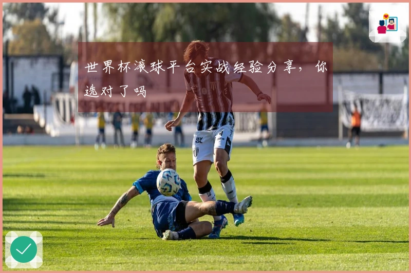 世界杯滚球平台实战经验分享，你选对了吗
