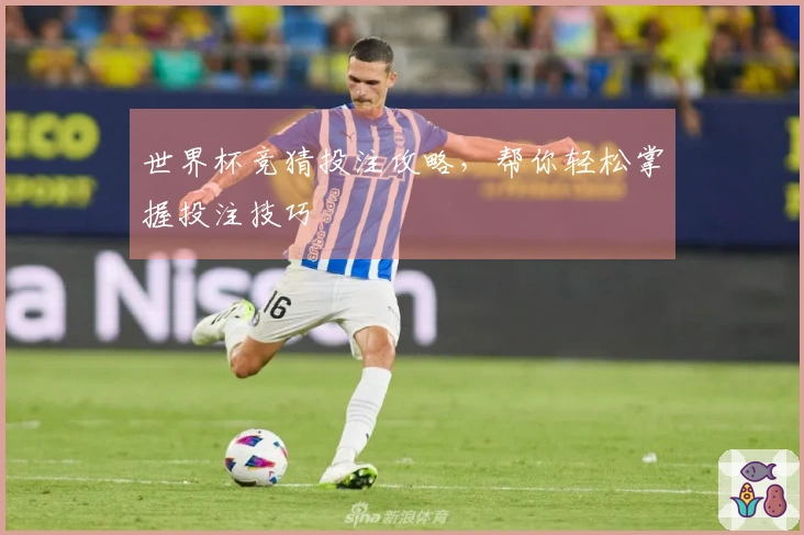 世界杯竞猜投注攻略，帮你轻松掌握投注技巧