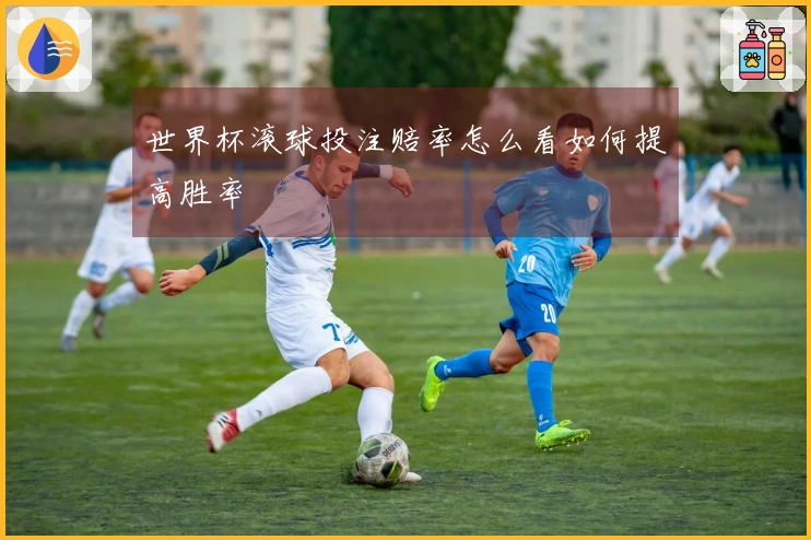 世界杯滚球投注赔率怎么看如何提高胜率