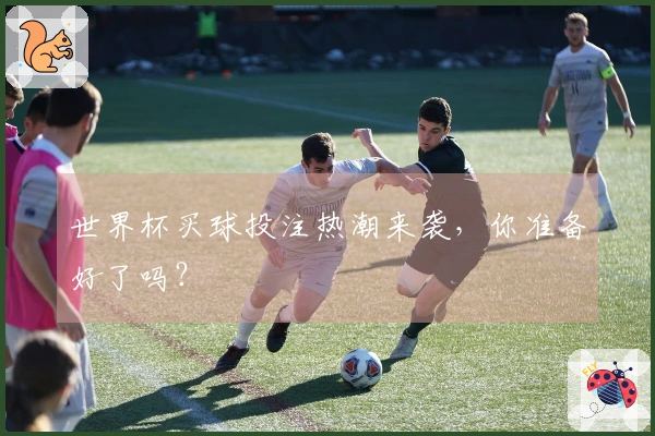 世界杯买球投注热潮来袭，你准备好了吗？