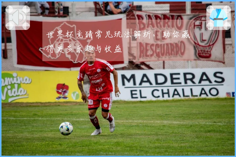 世界杯竞猜常见玩法解析，助你赢得更多乐趣与收益