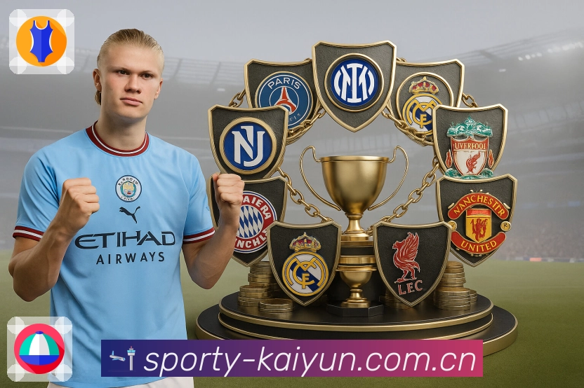 开云APP 高清赛事图